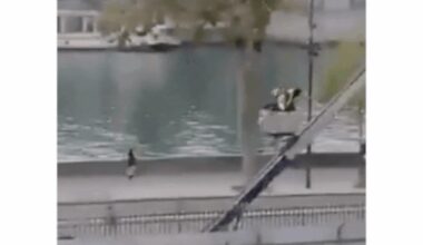 Watch: Louvre museum thieves’ slow getaway with France’s crown jewels; caught on camera