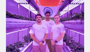 “We’re turning to modern berry genetics to fill supply gaps in India”