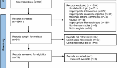 The efficacy and safety of peripheral nerve blocks for postoperative analgesia following total hip arthroplasty: a network meta-analysis | BMC Anesthesiology