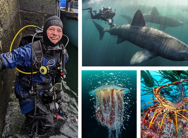 Dubliner Nigel Motyer: ‘I left my high-pressure finance job at 56 to dive full-time – I’m sorry I didn’t do it earlier’