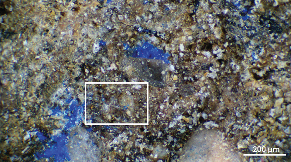 Detailed image of a stone surface with clear patches of blue pigment on it.