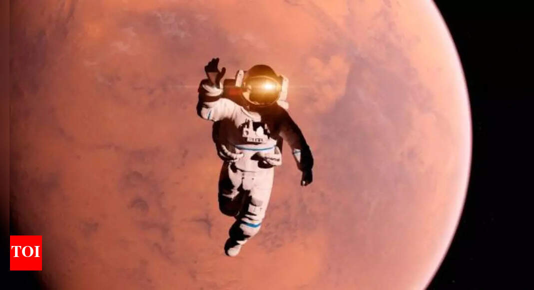 From freeze-dried dumplings to bunk pods: Inside the Mongolian tourist camp recreating life on Mars