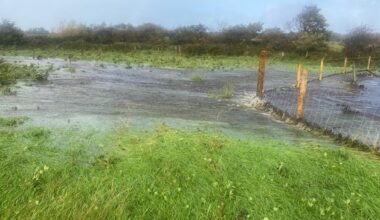 Storm Amy flooding raises new fears over Coillte afforestation project in Ballycastle