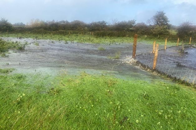 Storm Amy flooding raises new fears over Coillte afforestation project in Ballycastle
