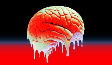 The Wikipedia Page on "Brain Rot" Is Protected Until 2026 Due to Extensive Vandalism