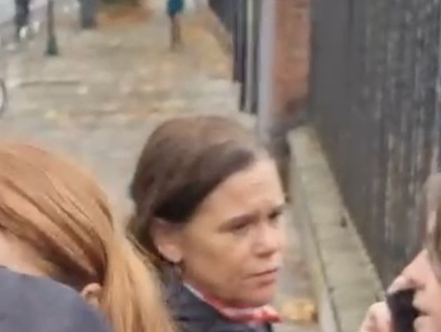 Man (30s) arrested over alleged assault on women canvassing with Mary Lou McDonald
