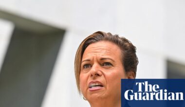 Labor rules out giving tech giants free rein to mine copyright content to train AI | Artificial intelligence (AI)