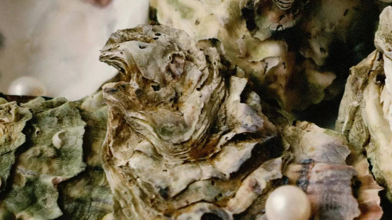 8 creatures that quietly heal the Earth every day