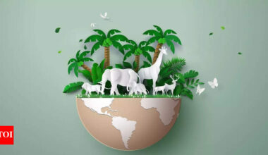 8 creatures that quietly heal the Earth every day