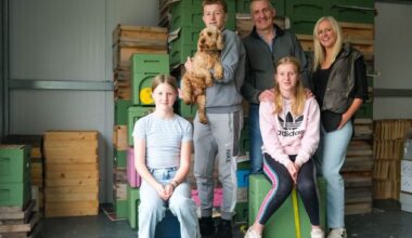 From banker to beekeeper: Meet the man leaving high-flying financial services job to focus on family’s honey business