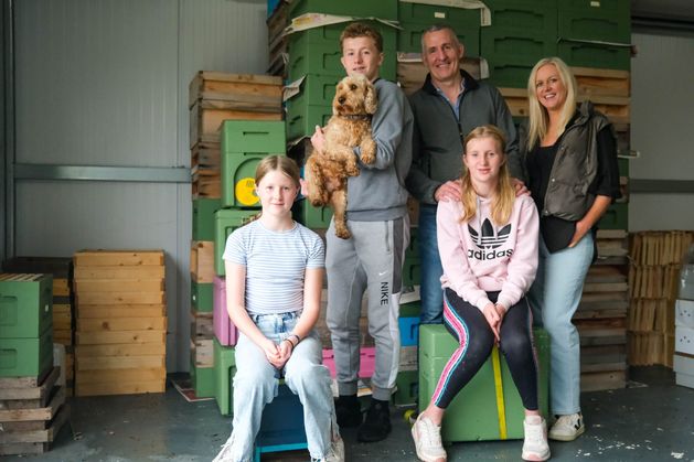 From banker to beekeeper: Meet the man leaving high-flying financial services job to focus on family’s honey business