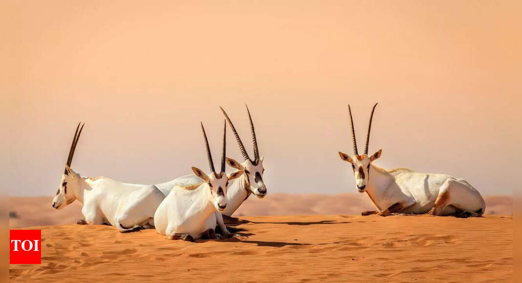 Earth just surprised scientists! Extinction rate among plant and animal species has surprisingly slowed down |