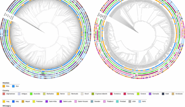 Unveiling meropenem resistance and co-resistance patterns in Klebsiella pneumoniae and Acinetobacter baumannii: a global genome analysis using ML/DL and association mining | BMC Microbiology