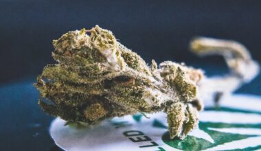 Early cannabis use linked to health problems