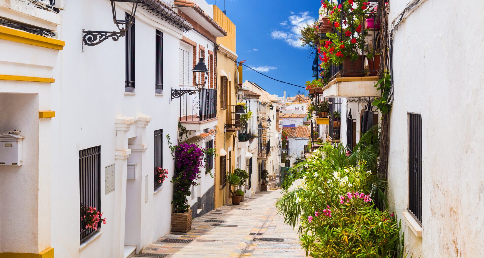 A picturesque narrow street with blue flower pots on the walls of houses in old town.