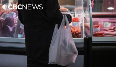 Grocery prices rose 4% year-over-year in September - Yahoo News Canada