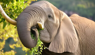 Yahoo lifestyle home