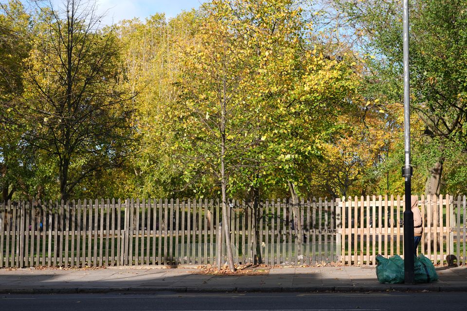 Hadush Kebatu was arrested in Finsbury Park on Sunday (Lucy North/PA)