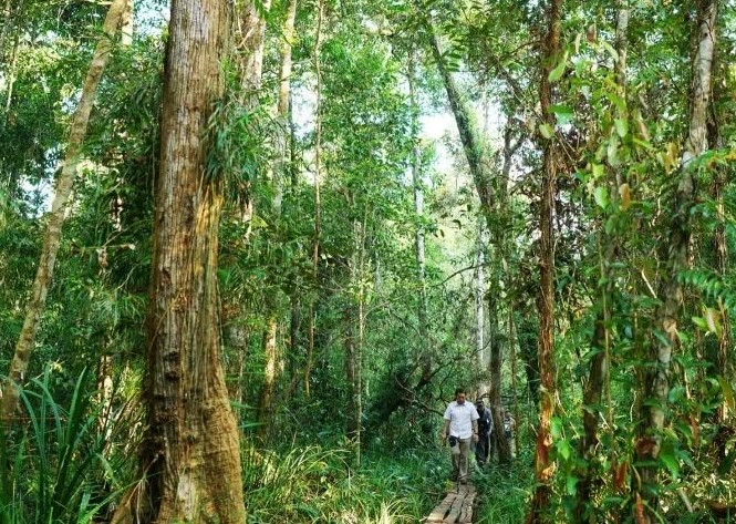 Indonesia allows resumption of international carbon trade after four years - Regulations