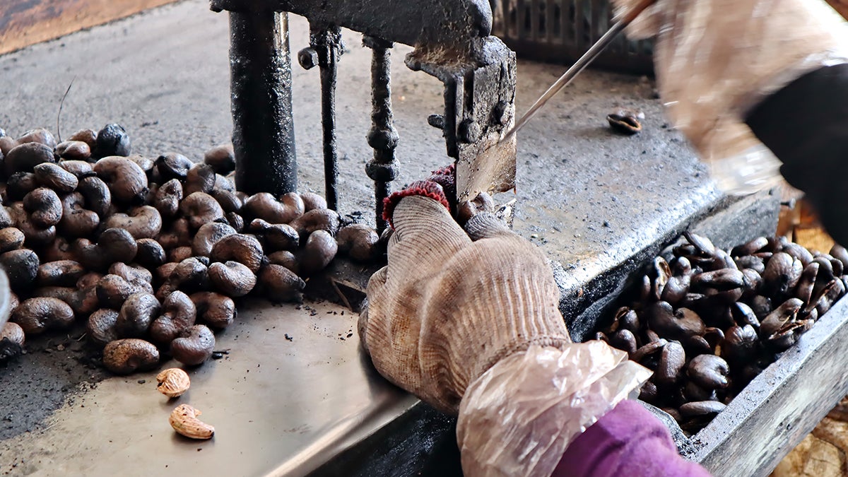 The Human Cost of Healthy Eating