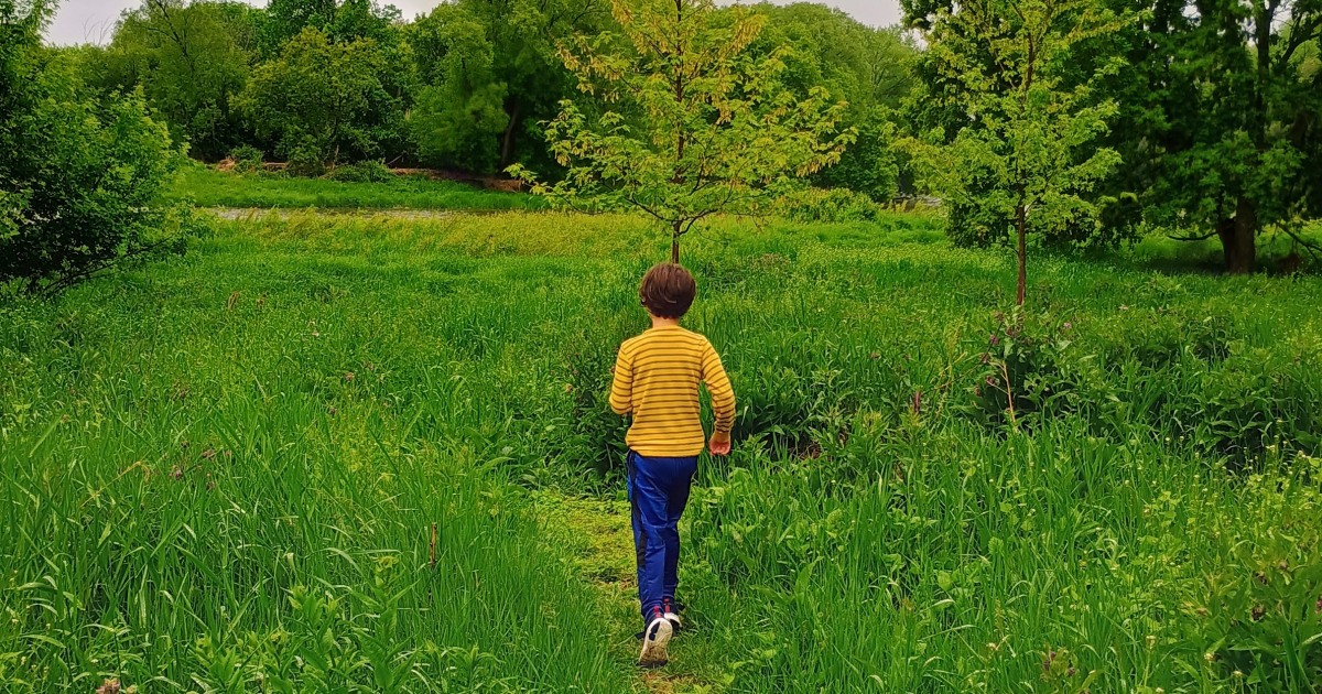 Different forms of autism may exist, not only different severities, genetic study shows