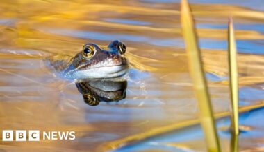 Local Wildlife Trust's award-winning photographers crowned