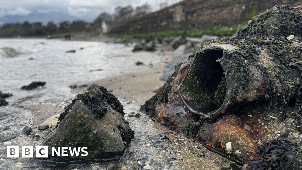 NI Water should be prosecuted for pollution incidents, review finds