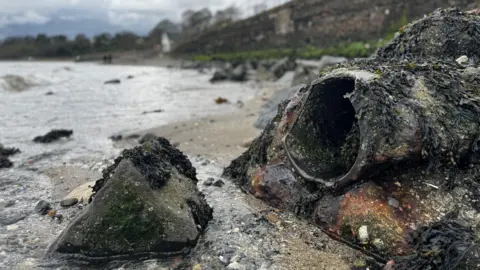 BBC A broken pipe covered in seaweed and rust lays across an open beach with lots of small rocks and pepples in front of it. Water from the sea is almost reaching the pipe, broken only with a small line of sand. Another boulder is poking out of the water, again covered in seaweed and barnacles. A large sea wall and a couple walking in dark clothing are out of focus in the background. 