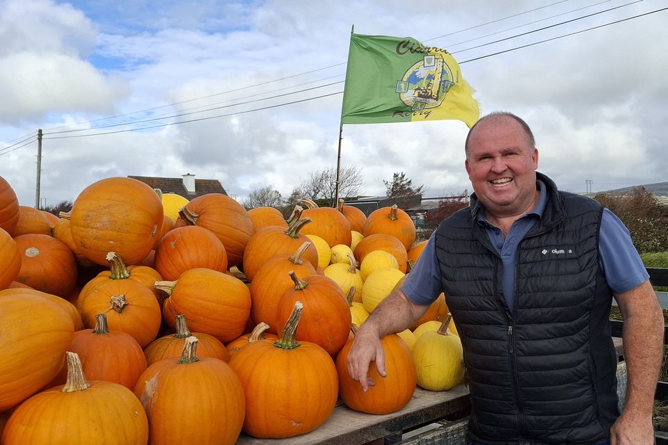 Danny Scanlon at his pumpkin farm in North Kerry.