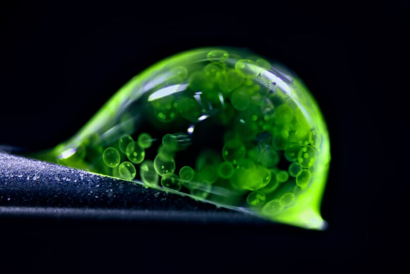 A close-up of a green, translucent droplet with bubbles inside, resting on a dark surface against a black background. The droplet glows, highlighting the suspended bubbles within it.