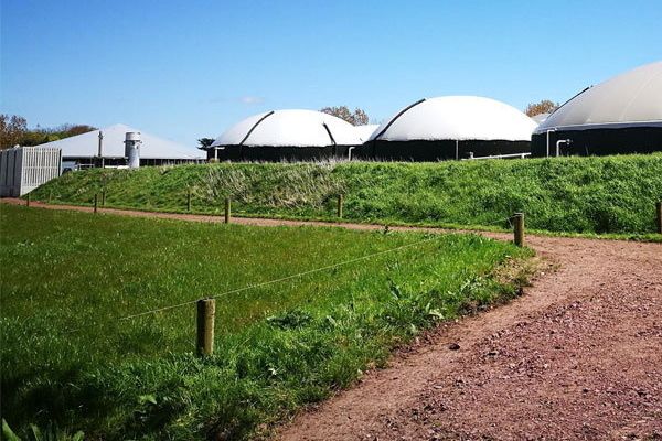 Major biogas renewable energy project proposed for north Tipperary