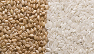 Is Brown Rice Really Healthier Than White Rice? A Dietitian Explains