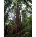 A New Season of The Last Woodsmen Returns with Bigger Risks and Higher Paydays Beginning Friday, November 14 at 9PM ET/PT on Discovery