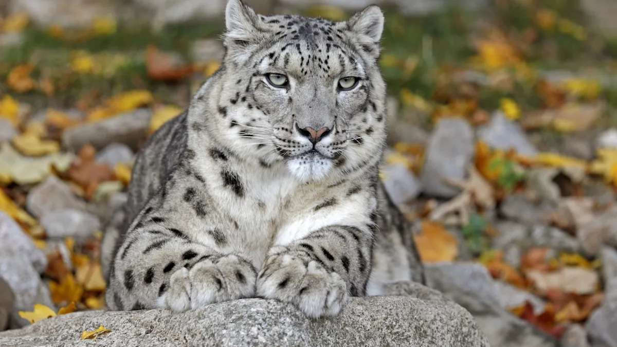 Yahoo lifestyle home