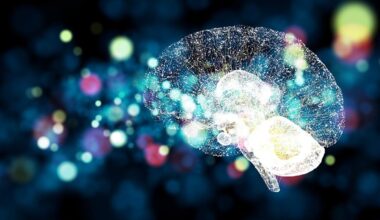 Could Advanced Micro Devices Become the New Growth Story in AI Chips?