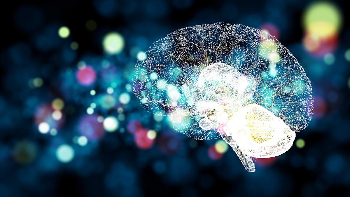 Could Advanced Micro Devices Become the New Growth Story in AI Chips?