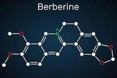 Berberine may prove popular in the future as a weight-loss aid. Photo: Stock/Getty