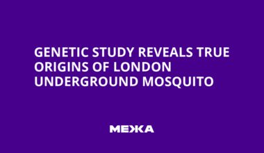 Genetic Study Reveals True Origins of London Underground Mosquito | Ukraine news