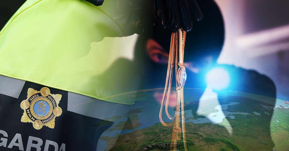 International police forces warned about rising threat from major Irish burglary gangs – The Irish Times