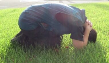 What to do if you encounter a bear in Japan, according to new study