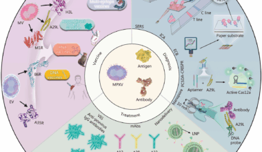 Emerging strategies for monkeypox: antigen and antibody applications in diagnostics, vaccines, and treatments | Military Medical Research