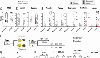 Rapid antidepressant effect of single-bout exercise is mediated by adiponectin-induced APPL1 nucleus translocation in anterior cingulate cortex