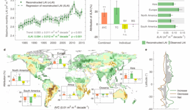 Vegetation cover change as a growing driver of global leaf area index dynamics