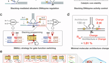 DNA computing function switching by programming base stacking interactions with minimal molecular architecture changes