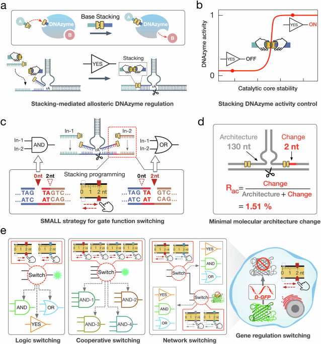 DNA computing function switching by programming base stacking interactions with minimal molecular architecture changes