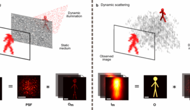 Matrix-based imaging through dynamic scattering