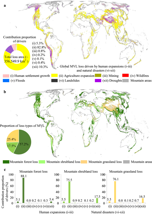 Global loss of mountain vegetated landscapes and its impact on biodiversity conservation