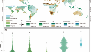 Climate change is predicted to reduce global belowground ecosystem multifunctionality