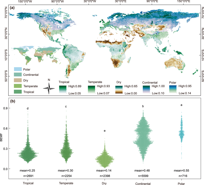Climate change is predicted to reduce global belowground ecosystem multifunctionality