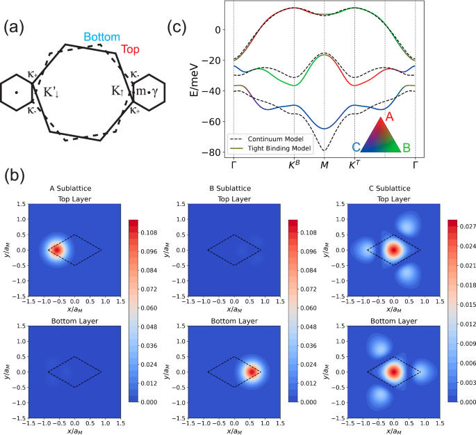Theory of topological superconductivity and antiferromagnetic correlated insulators in twisted bilayer WSe2